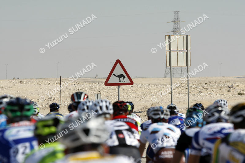 Traffic sign001p.jpg